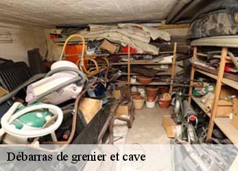 Débarras de grenier et cave  l-absie-79240 Stephane antiquaire