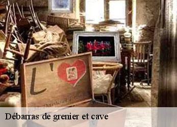 Débarras de grenier et cave  azay-le-brule-79400 Stephane antiquaire