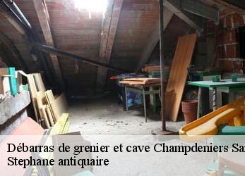 Débarras de grenier et cave  champdeniers-saint-denis-79220 Stephane antiquaire