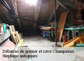 Débarras de grenier et cave  champeaux-79220 Stephane antiquaire