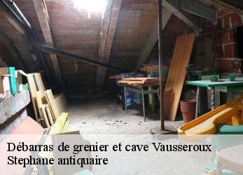 Débarras de grenier et cave  vausseroux-79420 Stephane antiquaire