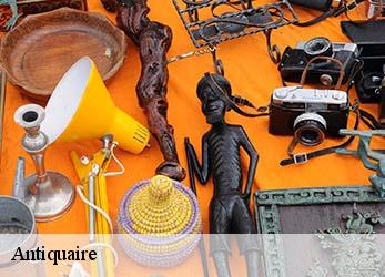 Antiquaire  azay-sur-thouet-79130 Stephane antiquaire