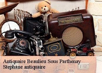 Antiquaire  beaulieu-sous-parthenay-79420 Stephane antiquaire