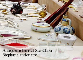 Antiquaire  brieuil-sur-chize-79170 Stephane antiquaire