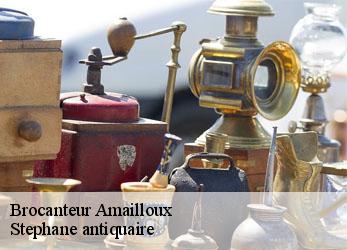 Brocanteur  amailloux-79350 Stephane antiquaire