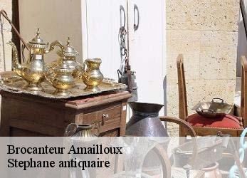 Brocanteur  amailloux-79350 Stephane antiquaire