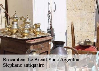 Brocanteur  le-breuil-sous-argenton-79150 Stephane antiquaire