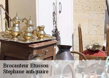 Brocanteur  etusson-79150 Stephane antiquaire