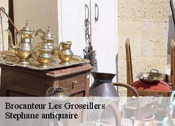 Brocanteur  les-groseillers-79220 Stephane antiquaire