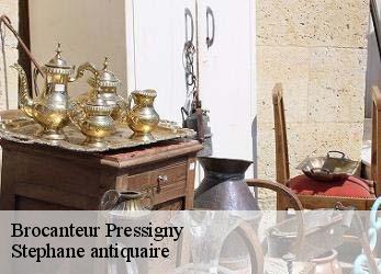 Brocanteur  pressigny-79390 Stephane antiquaire