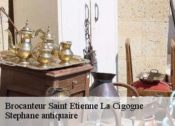 Brocanteur  saint-etienne-la-cigogne-79360 Stephane antiquaire