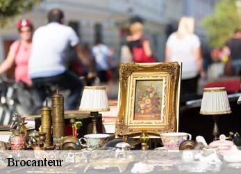 Brocanteur  taize-79100 Stephane antiquaire