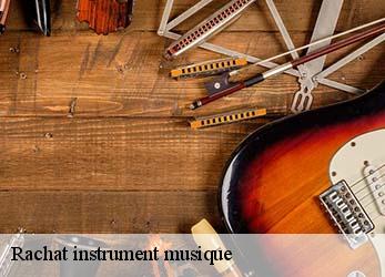 Rachat instrument musique  chenay-79120 Stephane antiquaire