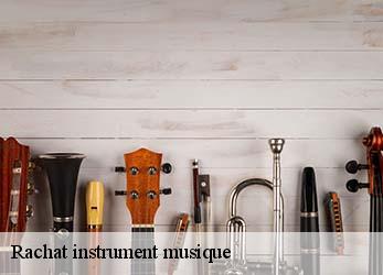 Rachat instrument musique  genneton-79150 Stephane antiquaire
