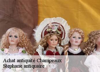 Achat antiquité  champeaux-79220 Stephane antiquaire