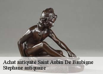 Achat antiquité  saint-aubin-de-baubigne-79700 Stephane antiquaire
